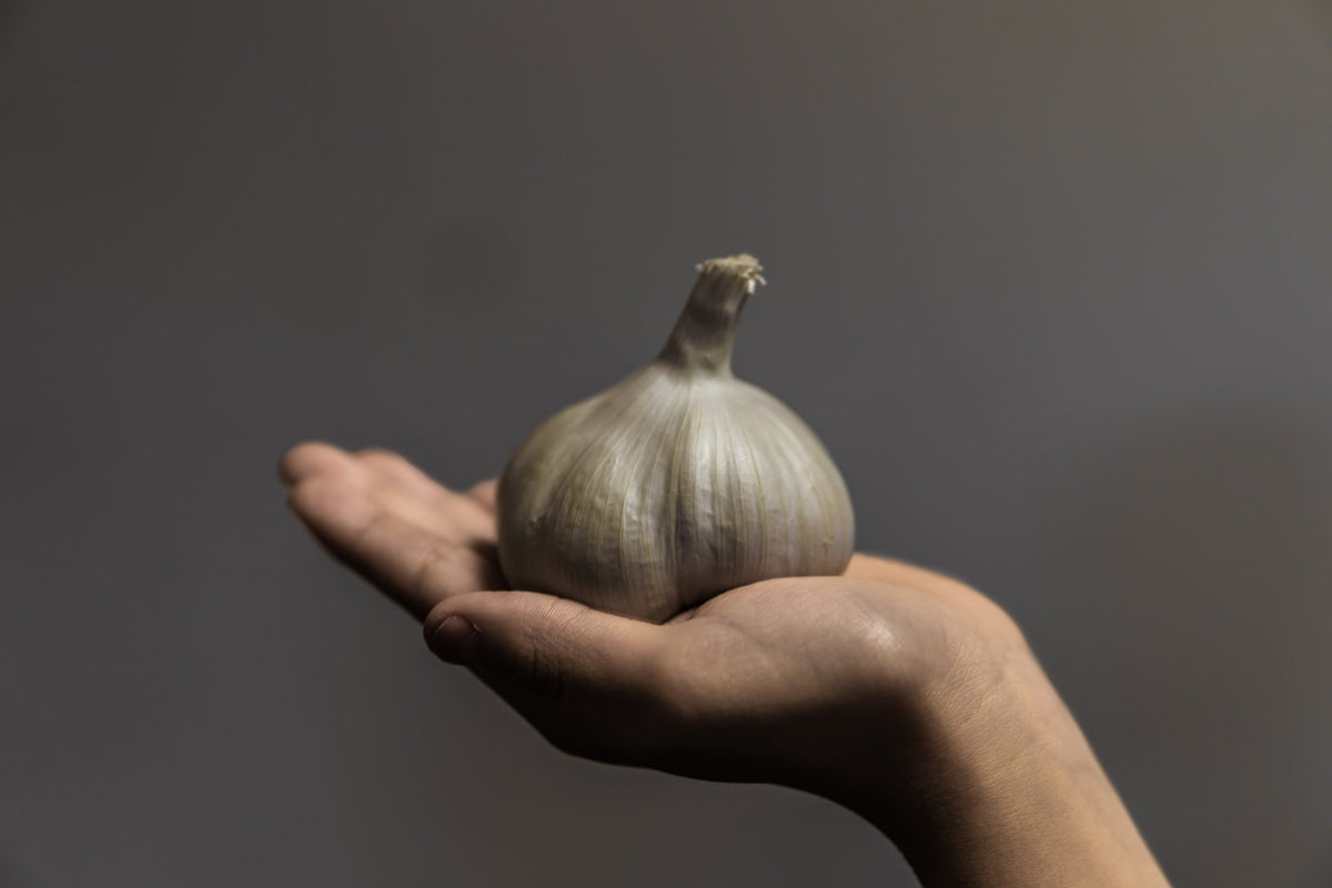 ail noir cholestérol