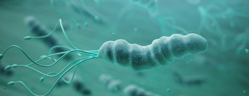helicobacter-pylori