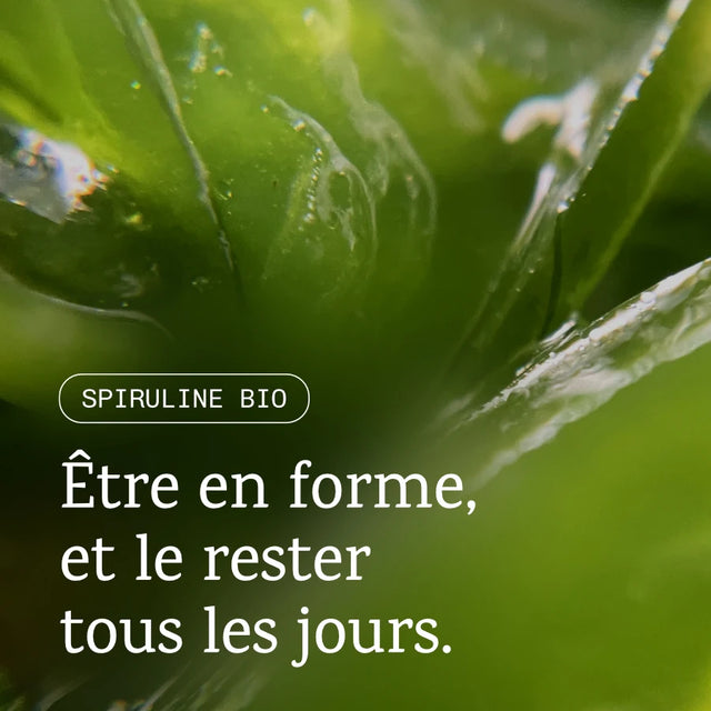 Spirulina Francese BIO