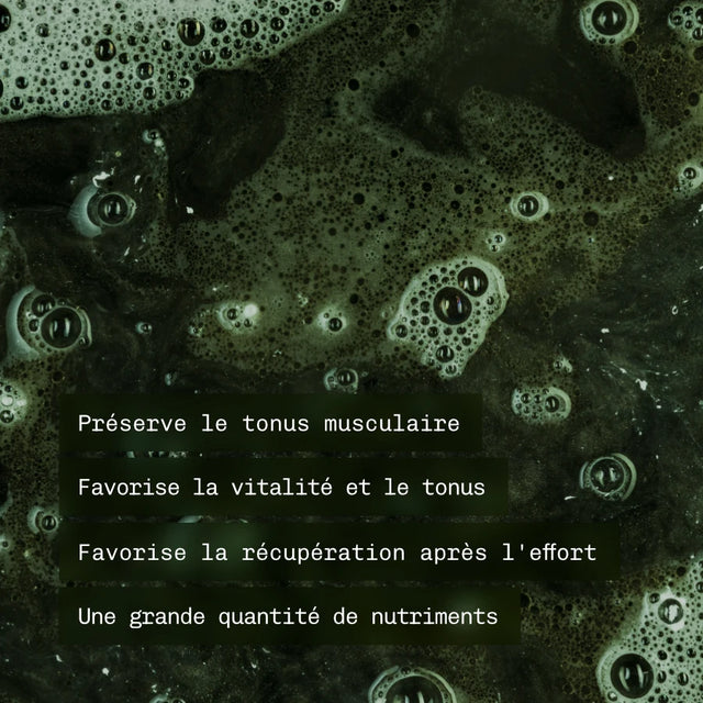 Spirulina Francese BIO