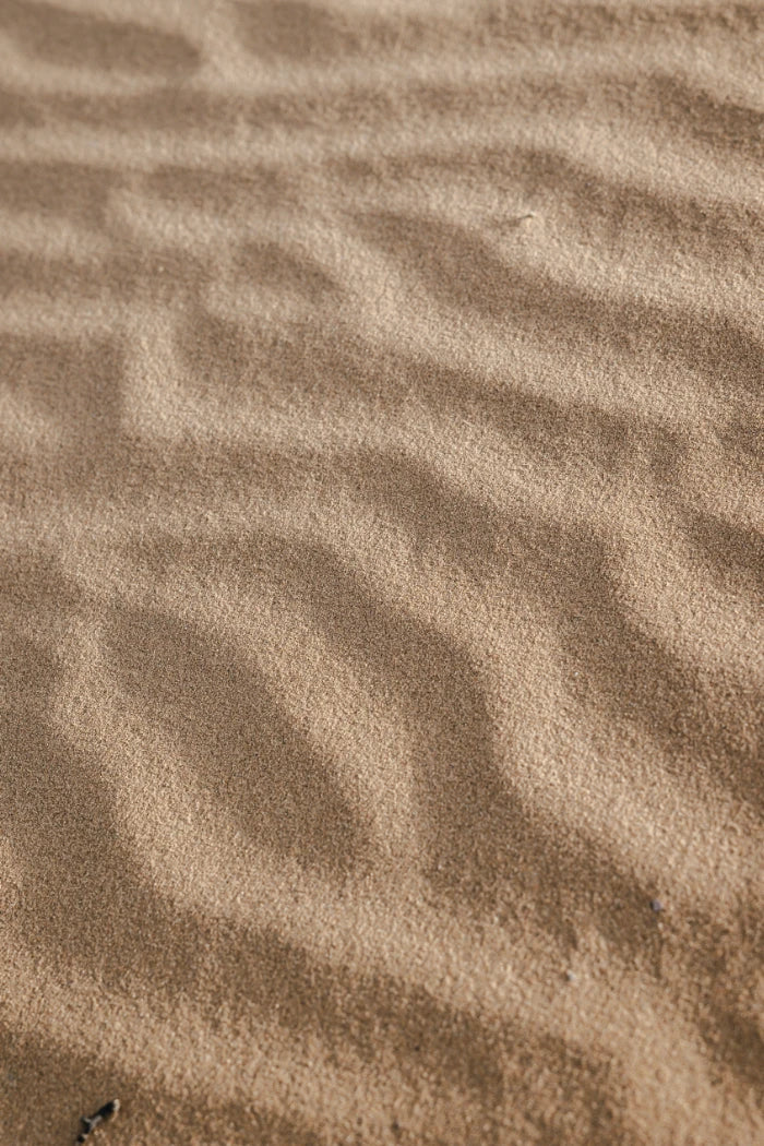 Aglio Nero fermentato