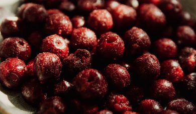 cranberry bienfaits