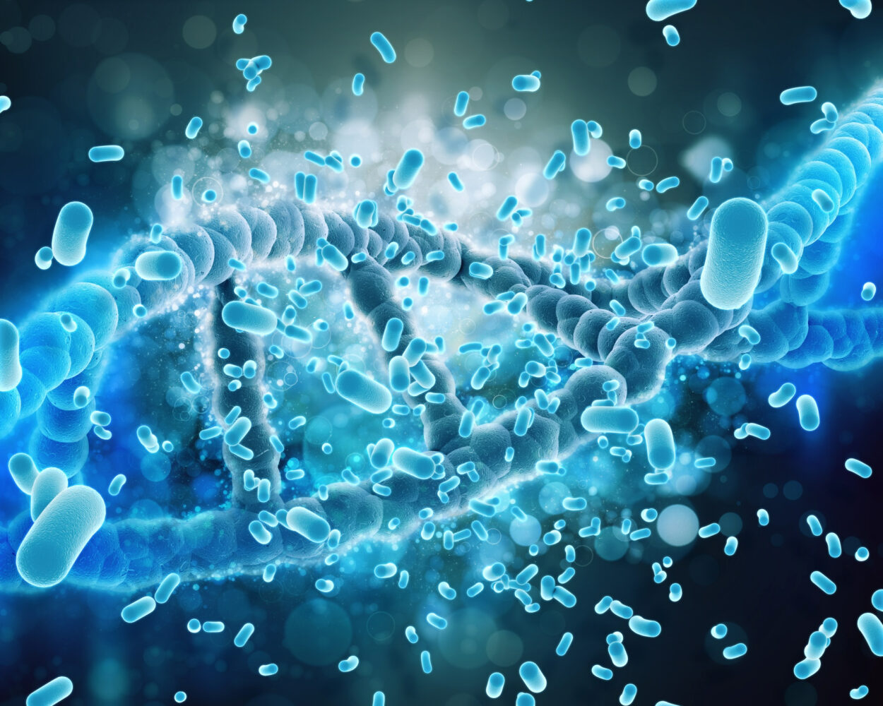 Bifidobacterium infantis 35624