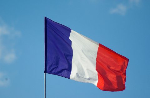 Compléments alimentaires français