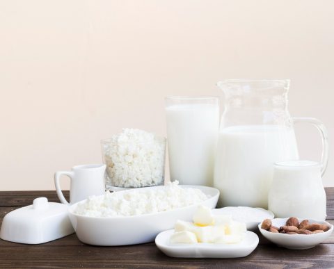 Lactobacillus casei