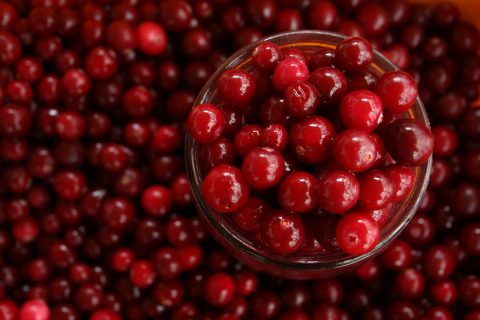 airelles canneberge cranberry