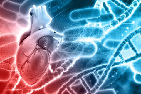 aliments à éviter pour une bonne circulation sanguine
