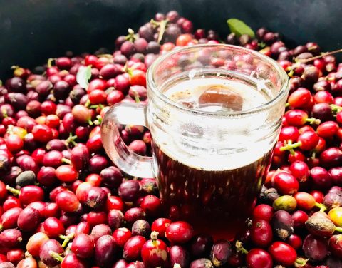 baie cranberry