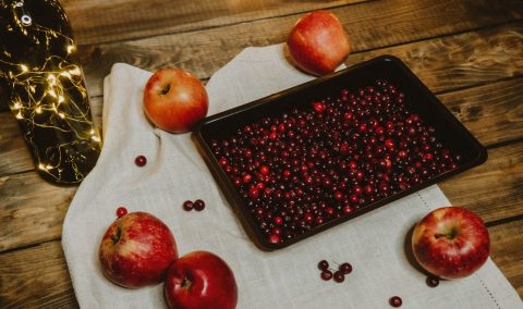 baies cranberry sechees