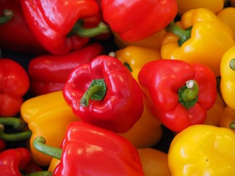 la capsaïcine