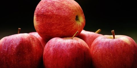 la quercétine