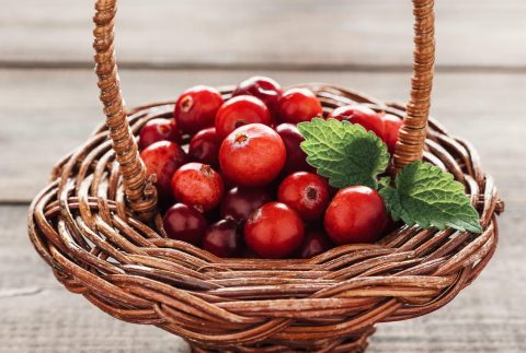 panier cranberry
