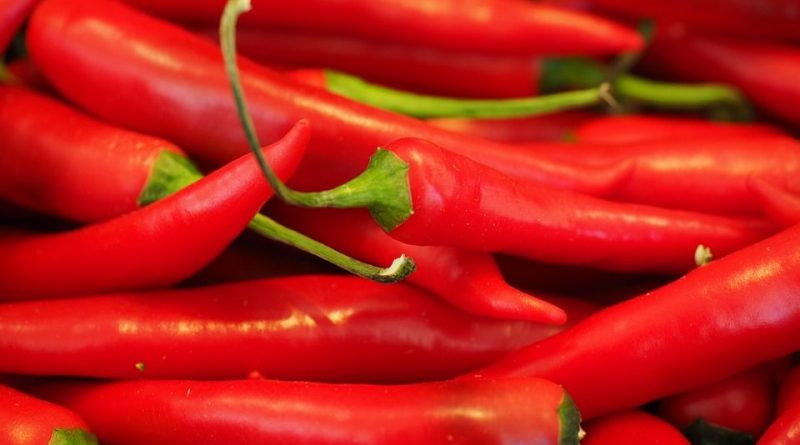 bienfaits de la capsaïcine
