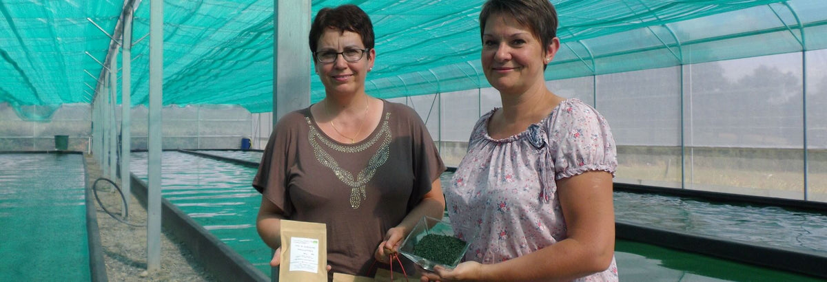 vertus de la spiruline