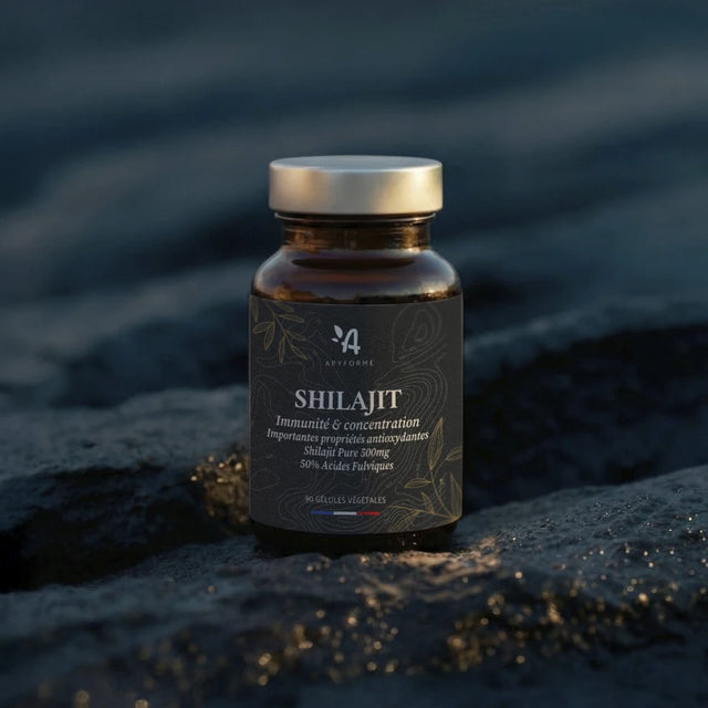Shilajit de l'Himalaya
