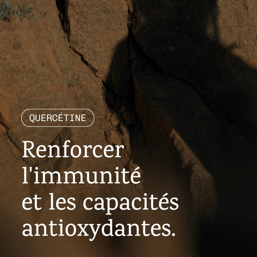Quercétine