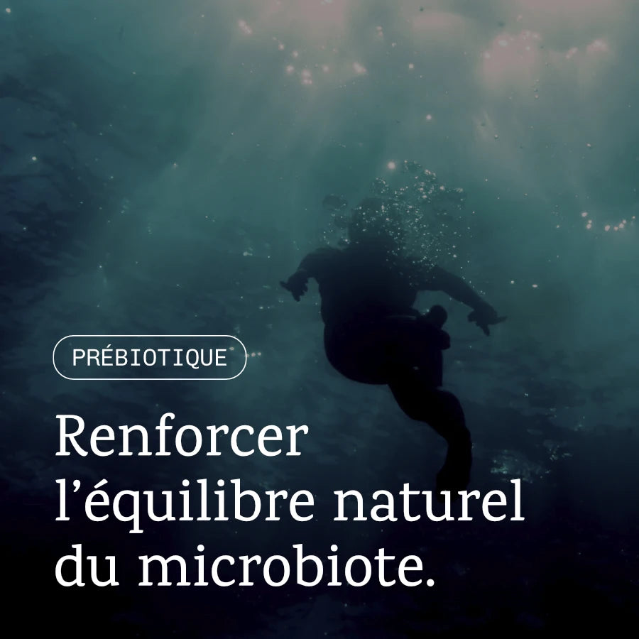 Prébiotique