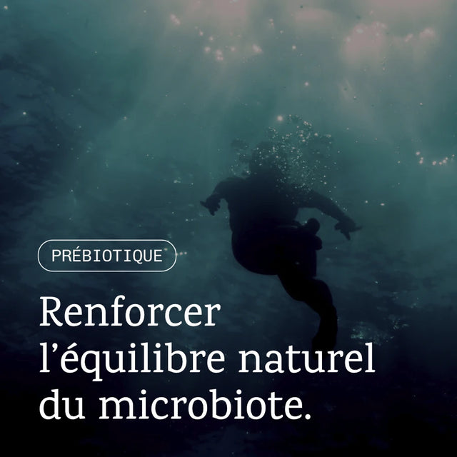Prébiotique