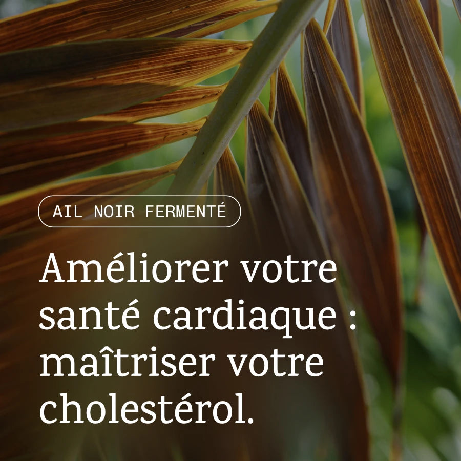 Ail Noir  fermenté