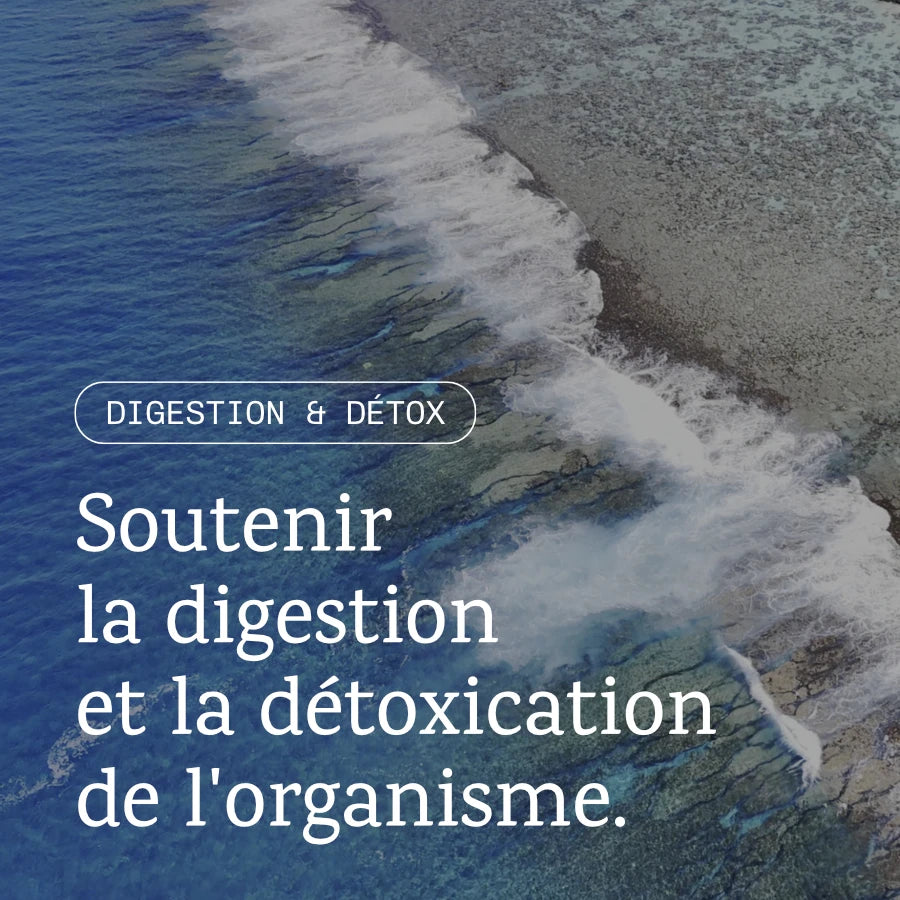Digestión y desintoxicación
