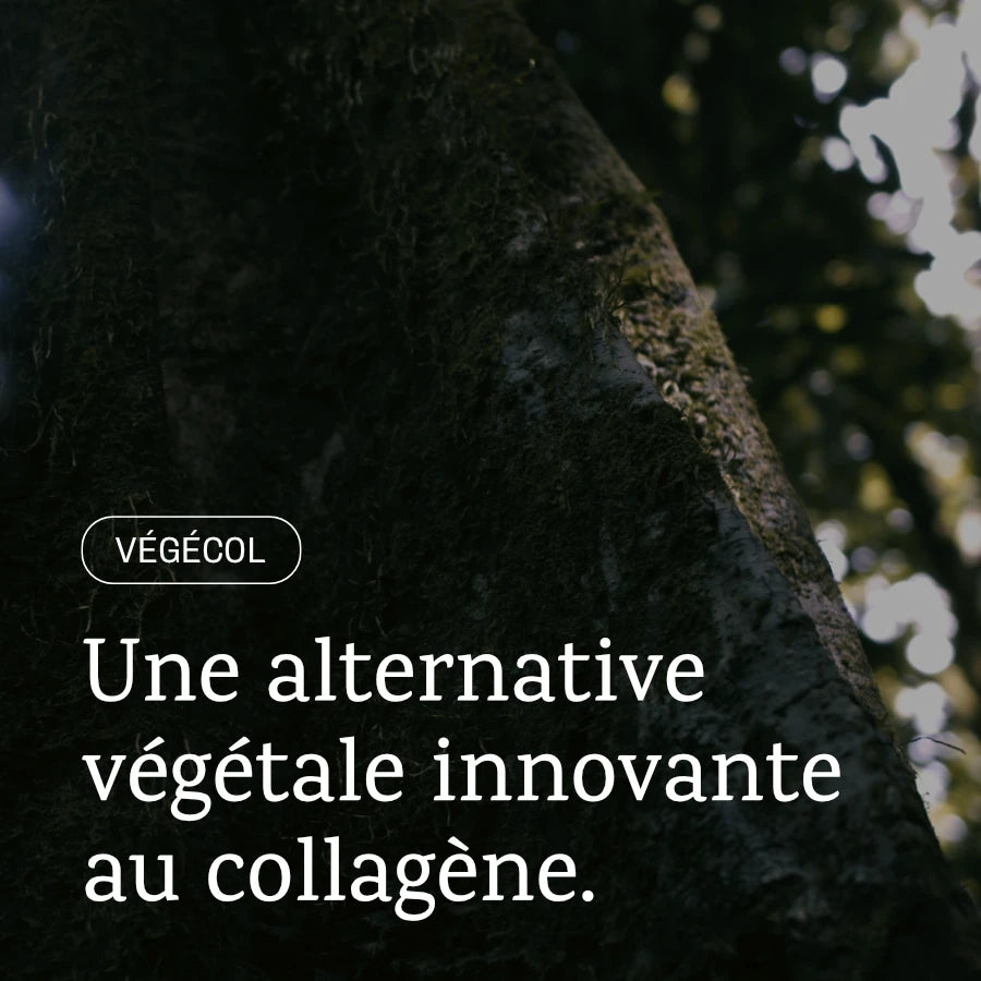 Végécol