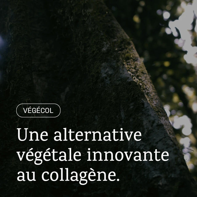 Végécol