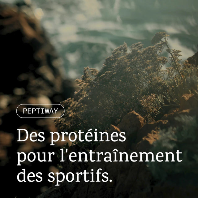 Peptiway protéines végétales