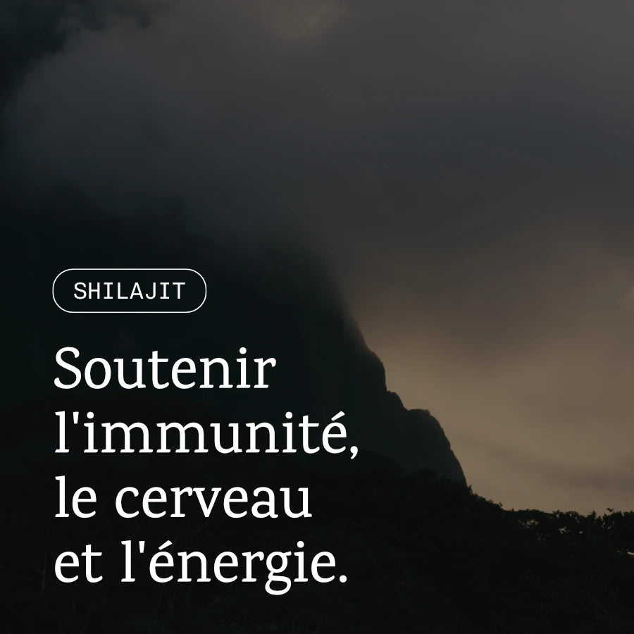 Shilajit de l'Himalaya