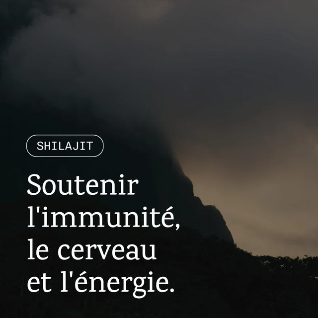 Shilajit de l'Himalaya