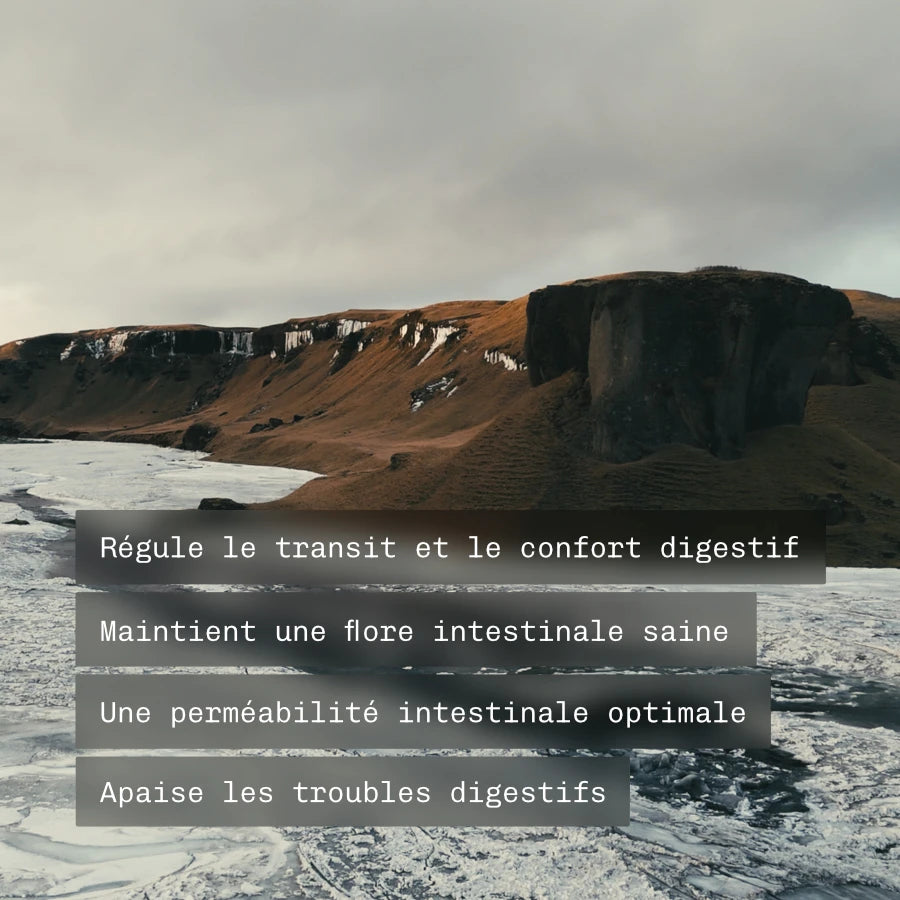 Pack Syndrome du Côlon Irritable (SCI)