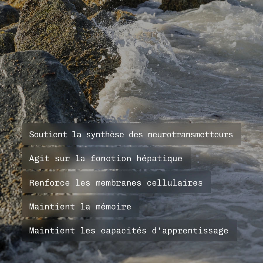 Oméga 3 Huile De Krill