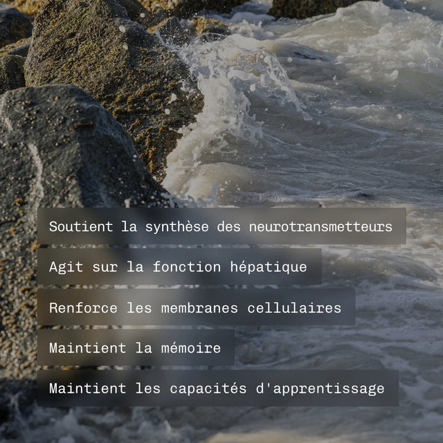 Oméga 3 Huile De Krill