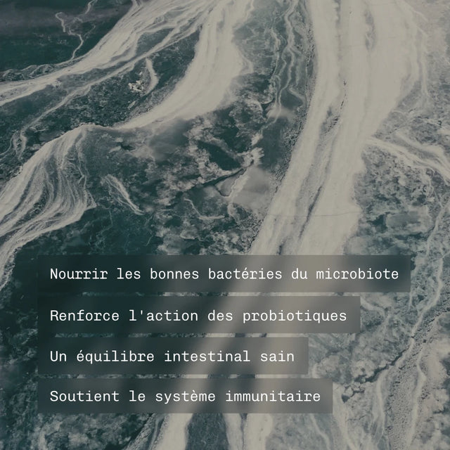 Prébiotique