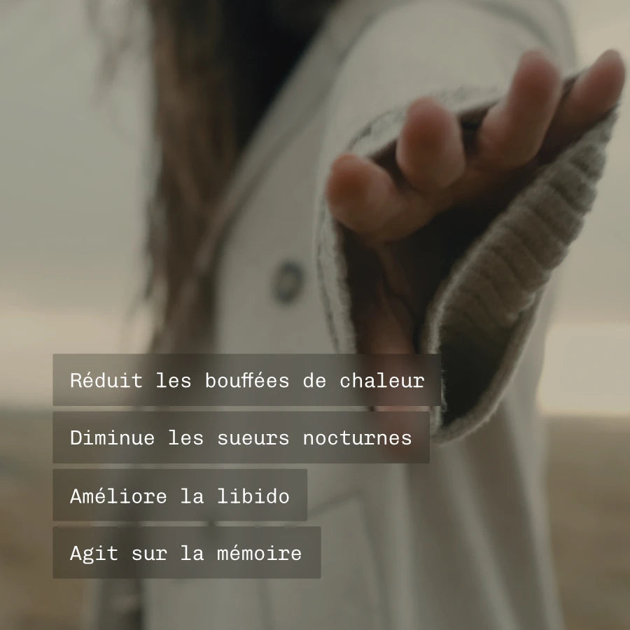 Ménobelle