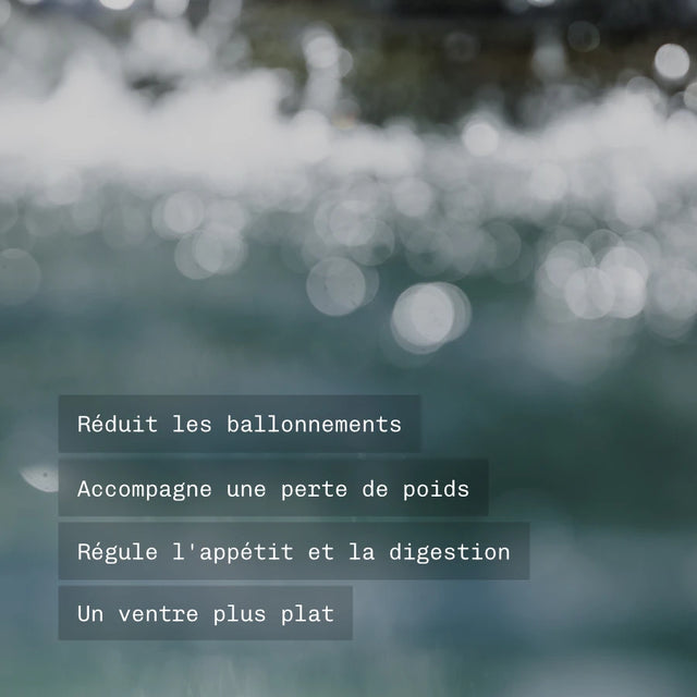 Pack Digestion / Minceur