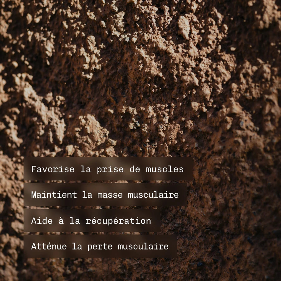 Peptiway protéines végétales