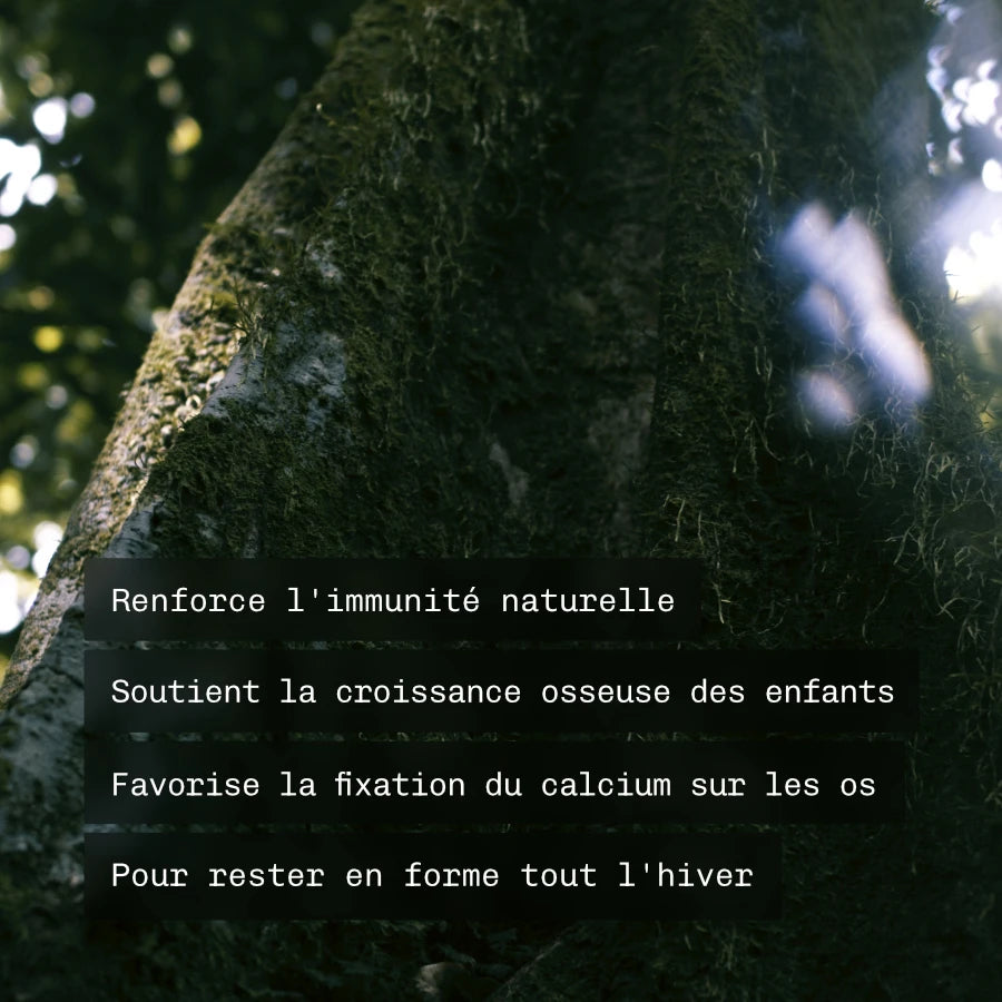 Vitamine D3 Végétale
