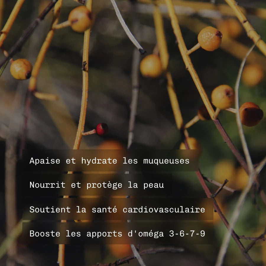 Huile d'argousier