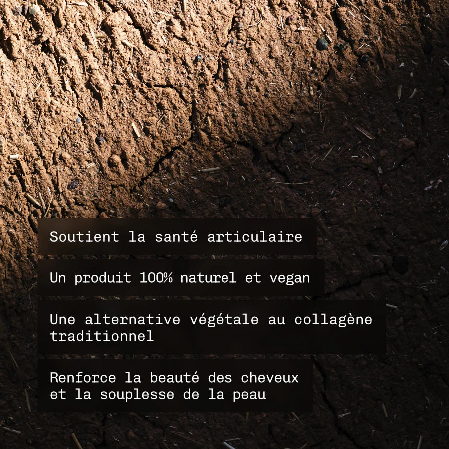 Végécol