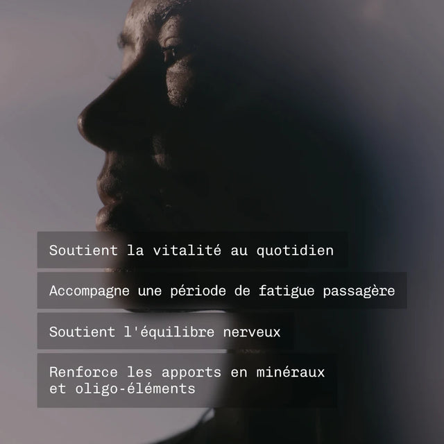 Shilajit de l'Himalaya