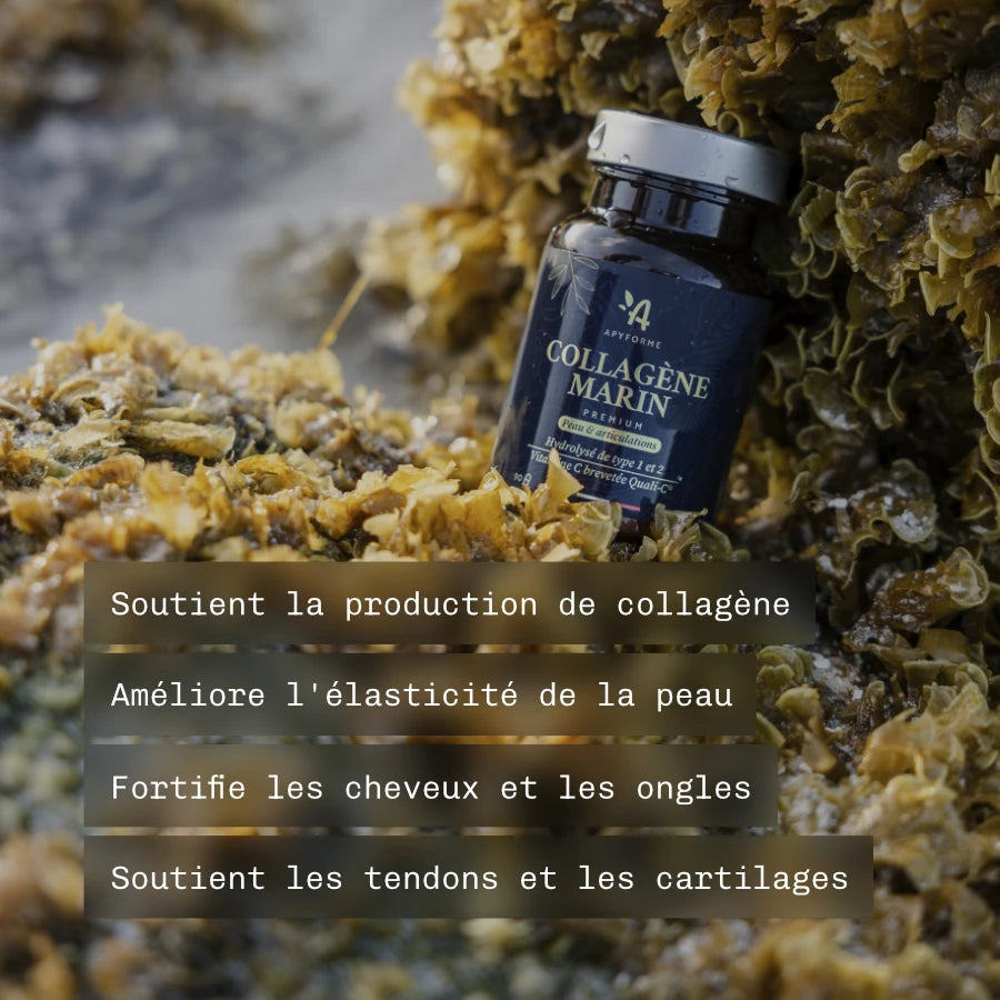 Collagène Marin