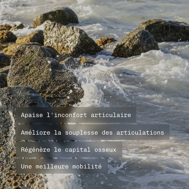 Articulations