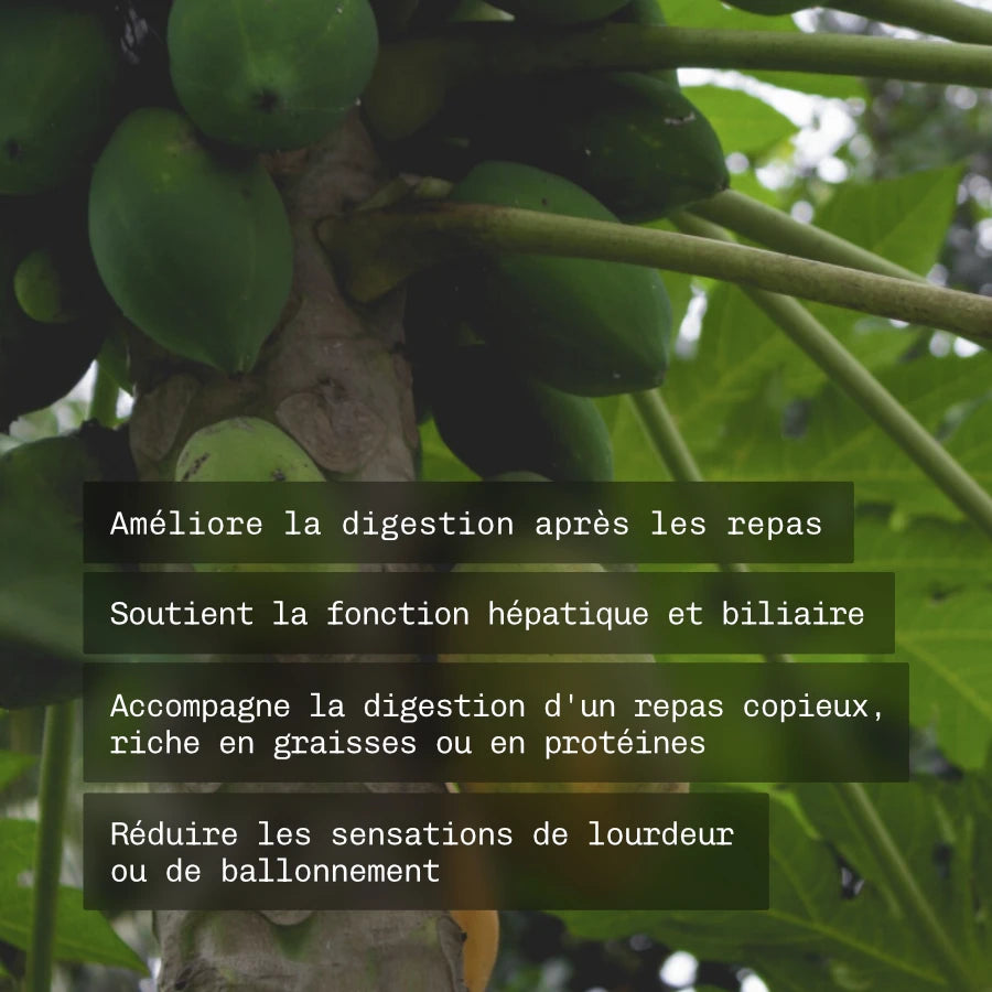 Digestión y desintoxicación