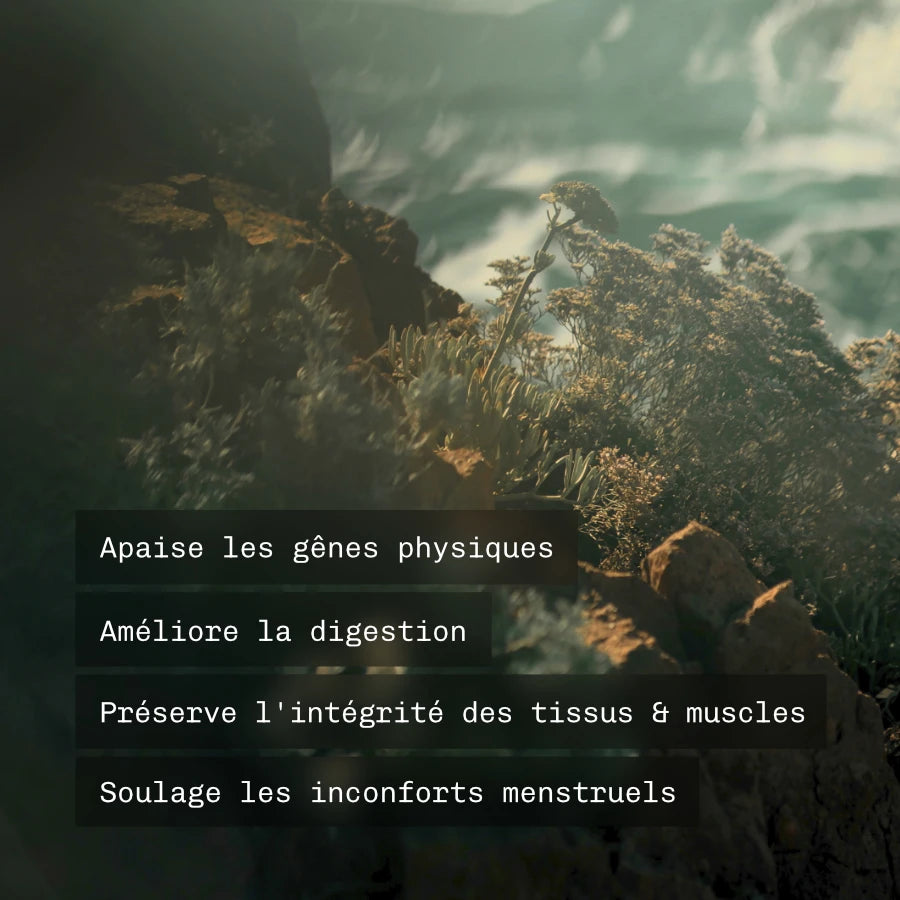 Pacchetto Endometriosi