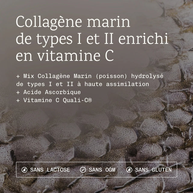Collagène Marin poudre