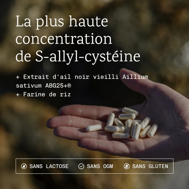 Ail Noir  fermenté