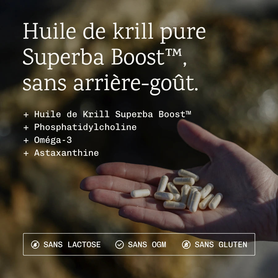 Oméga 3 Huile De Krill
