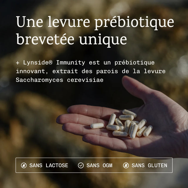 Prébiotique
