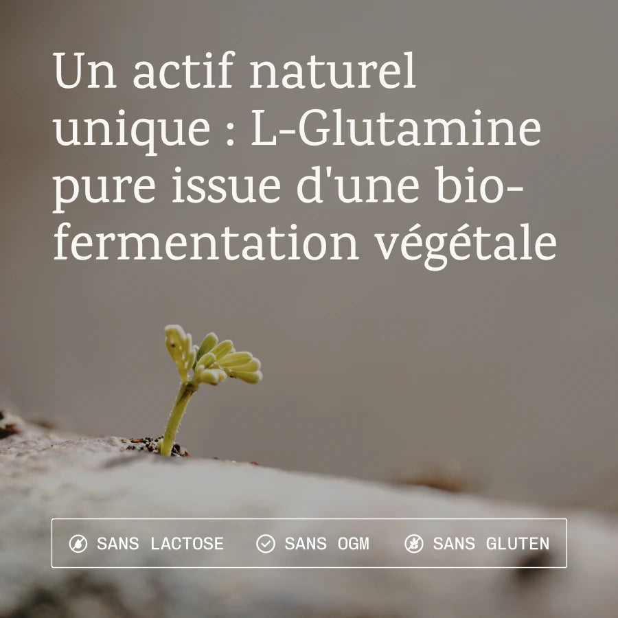 L-Glutamine naturelle