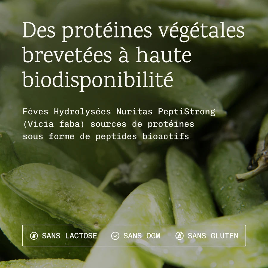 Peptiway protéines végétales